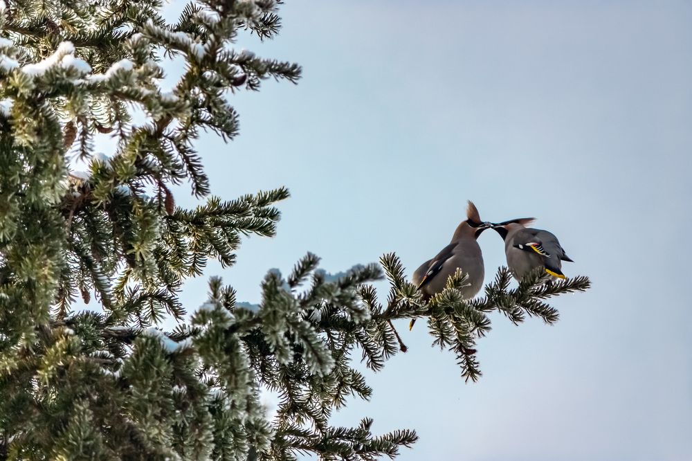 Photograph by Татьяна Раковская