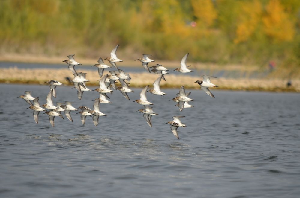 Photograph by Юрий Курынов