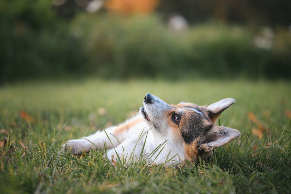 Photograph by Анастасия Жучкова