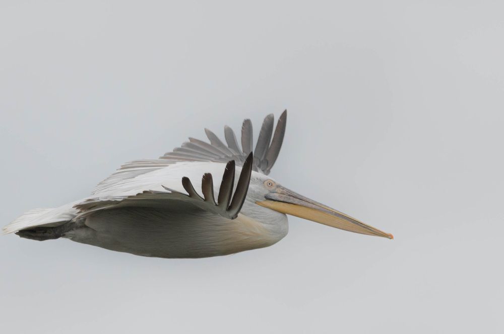 Photograph by Александр Щербаков