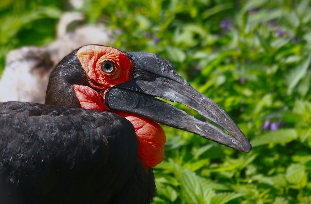 Photograph by Гагик Саркисян