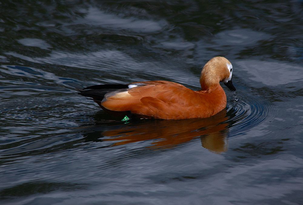 Photograph by Гагик Саркисян