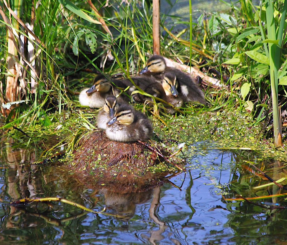 Photograph by Гагик Саркисян