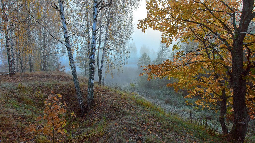 Photograph by Сергей Голов