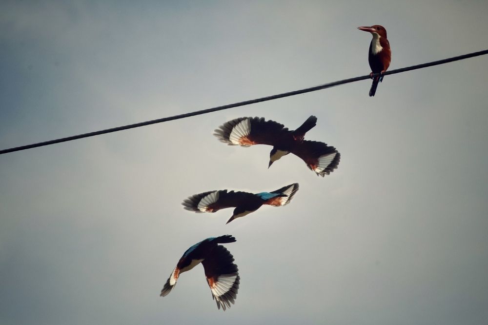 Фотография автора Washiful Majid