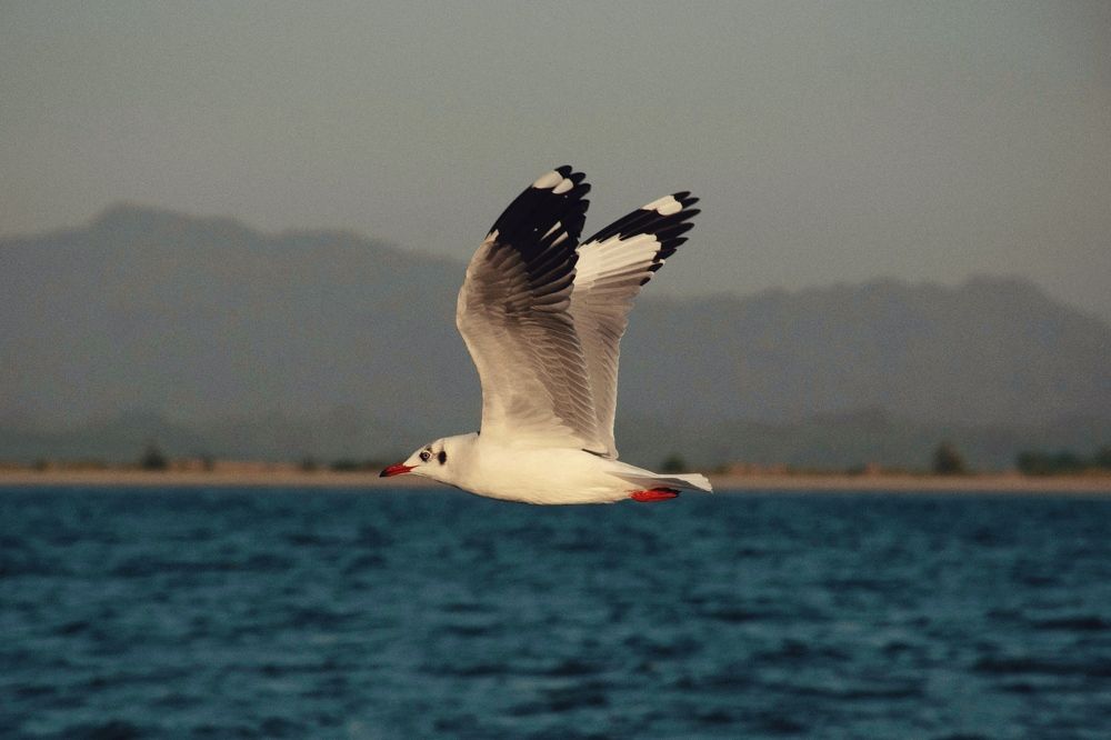 Фотография автора Washiful Majid