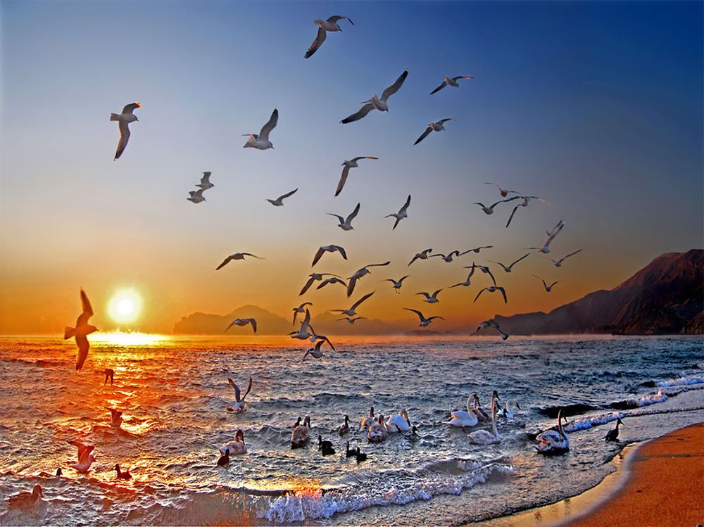 Photograph by Виктор