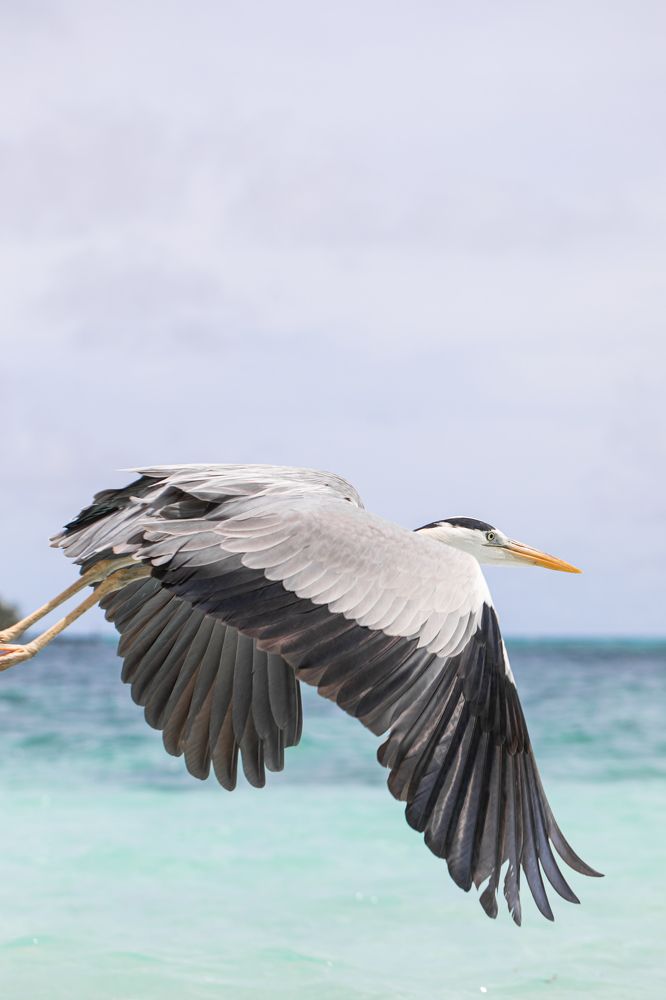 Фотография автора Мария Сурмачева