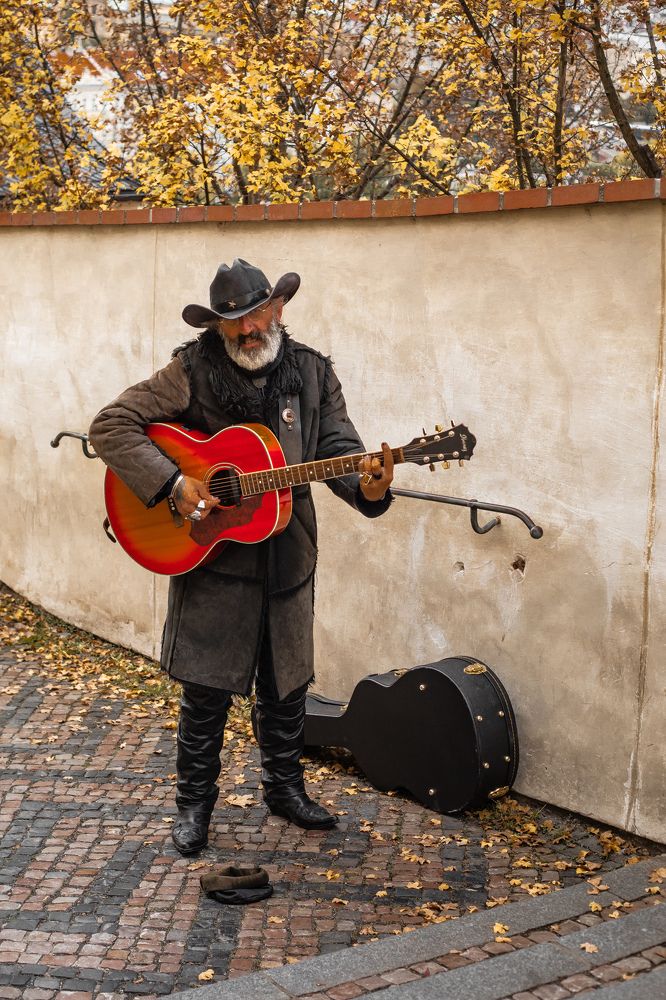 Фотография автора Мария Сурмачева