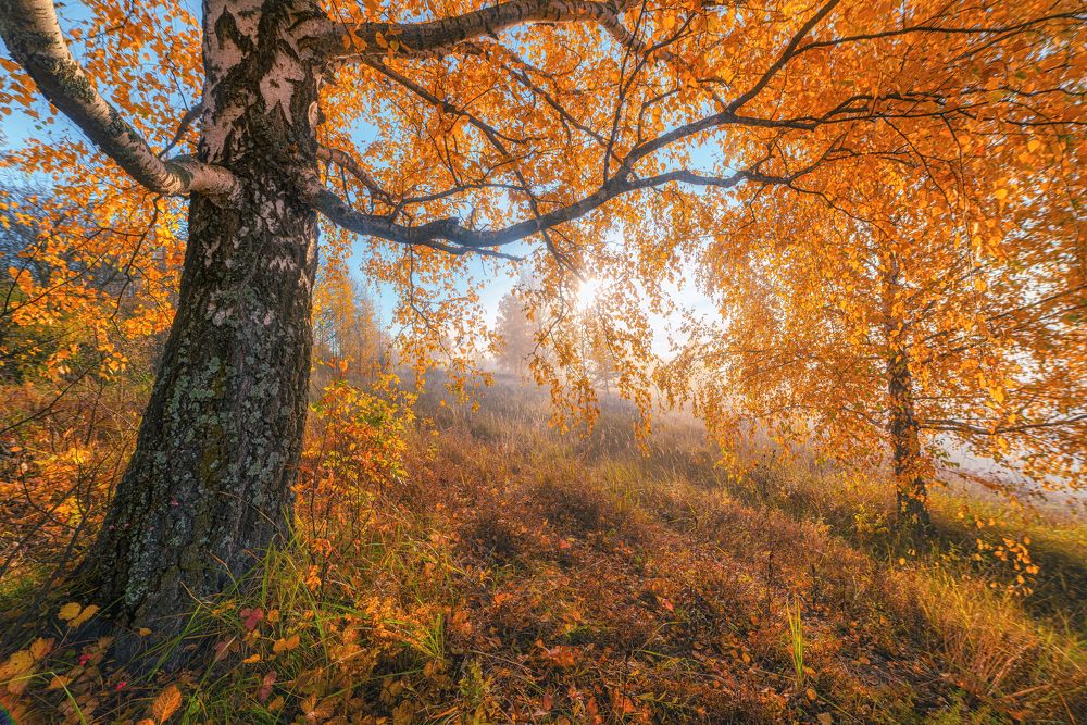 Photograph by Андрей Малыгин