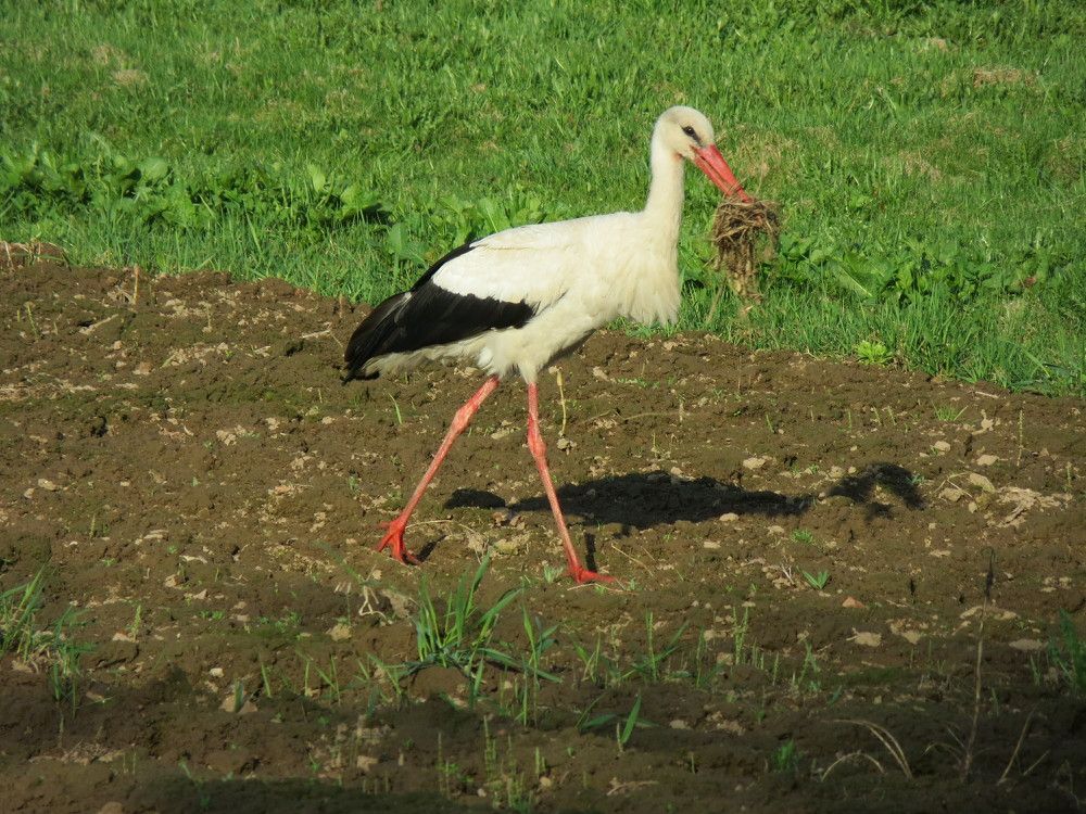 Photograph by Мигун Александра