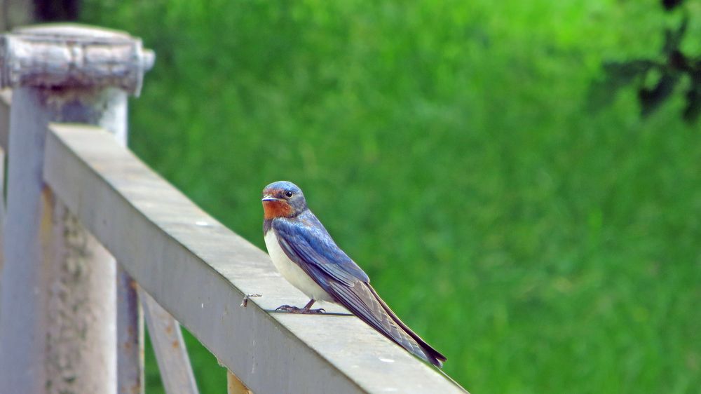Photograph by Мигун Александра