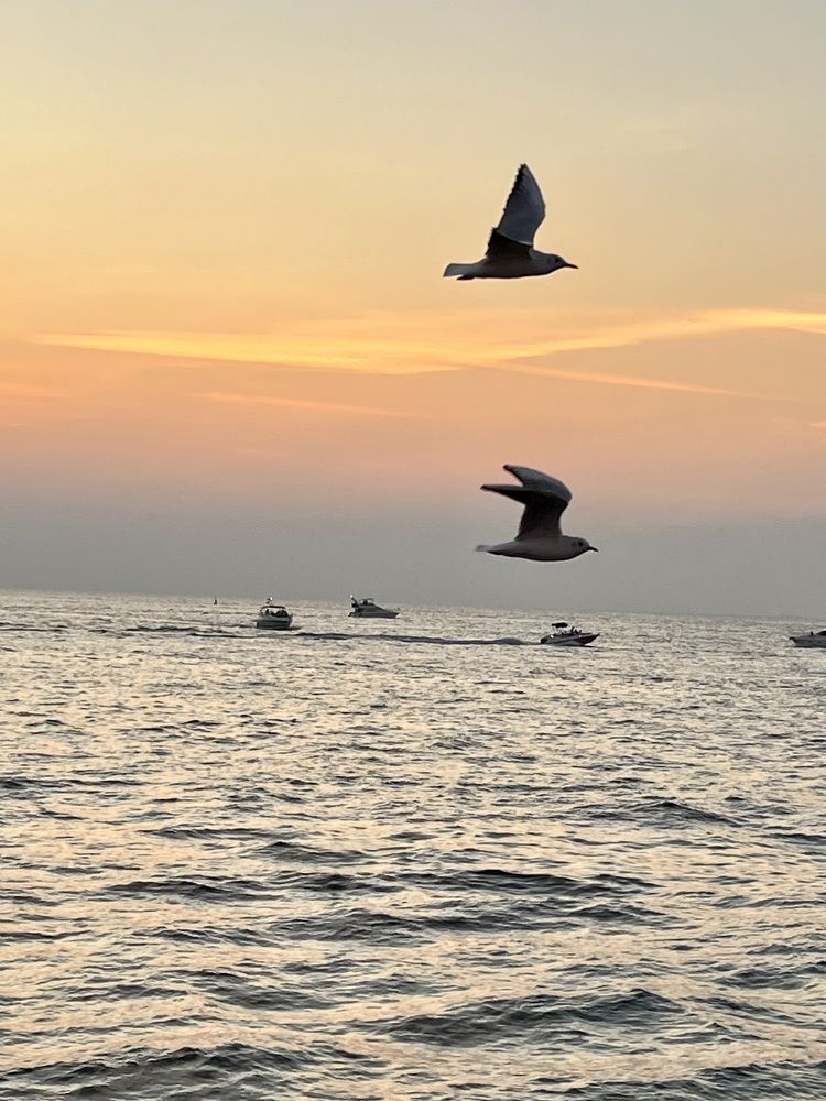 Фотография автора Ольга Белоусова