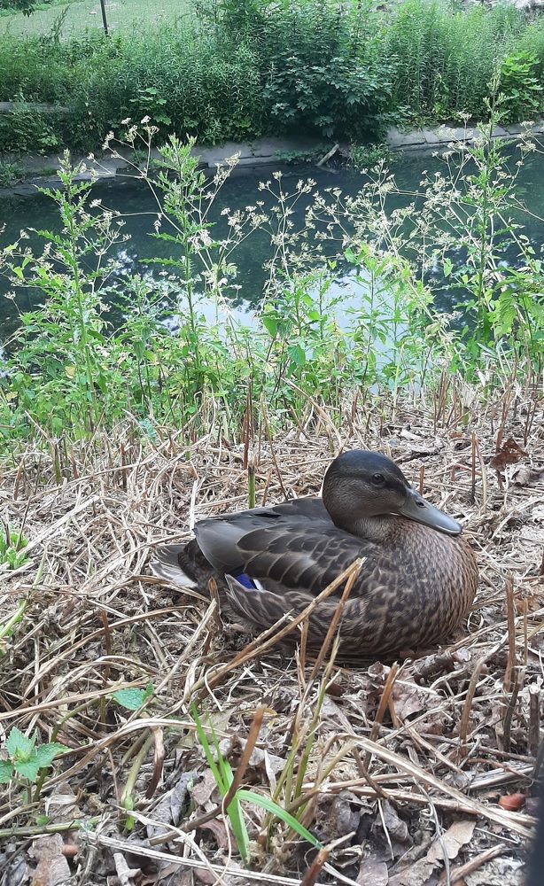 Photograph by Ольга Белоусова