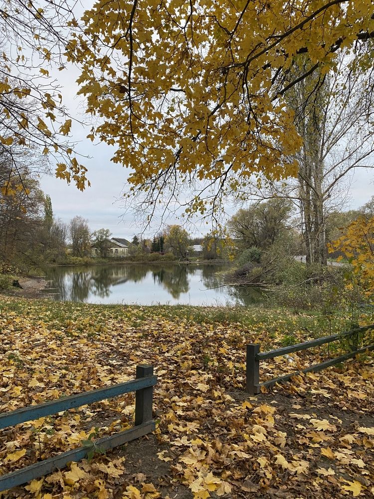 Photograph by Елена Гущина