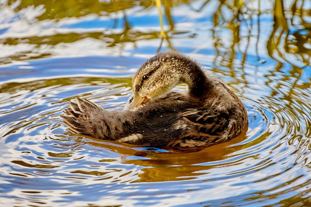 Photograph by Голованов Николай