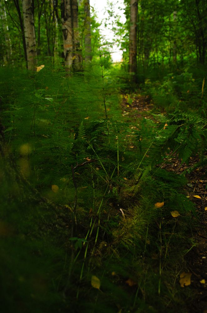 Photograph by Валентина Ивашова