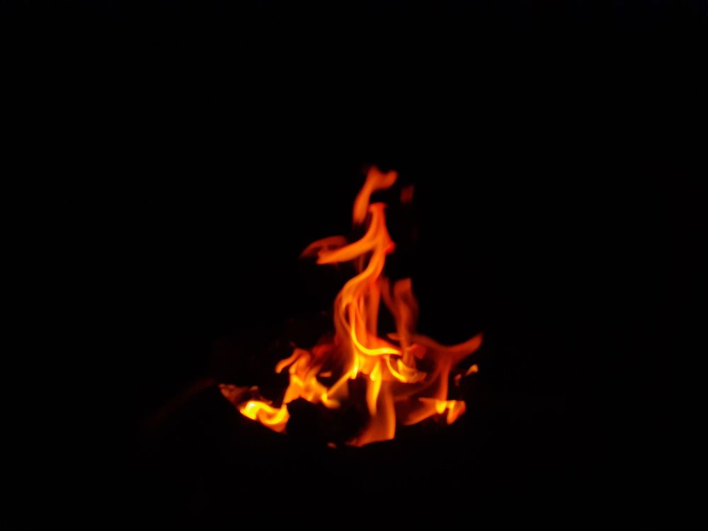 Photo #11087416