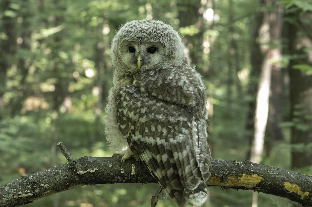 Photograph by Вера Почкалина