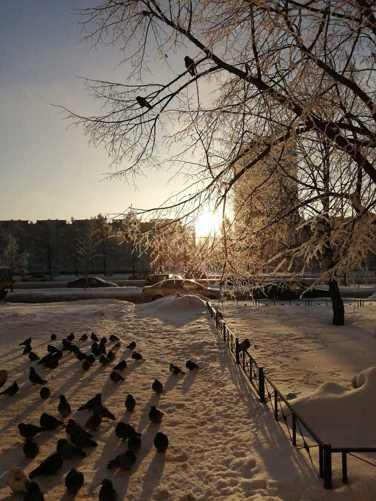 Зима в городе