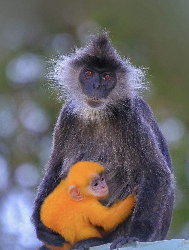 Photograph by nguyên trương