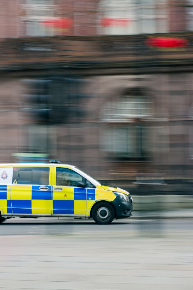 Фотография автора Jelena Bazenova