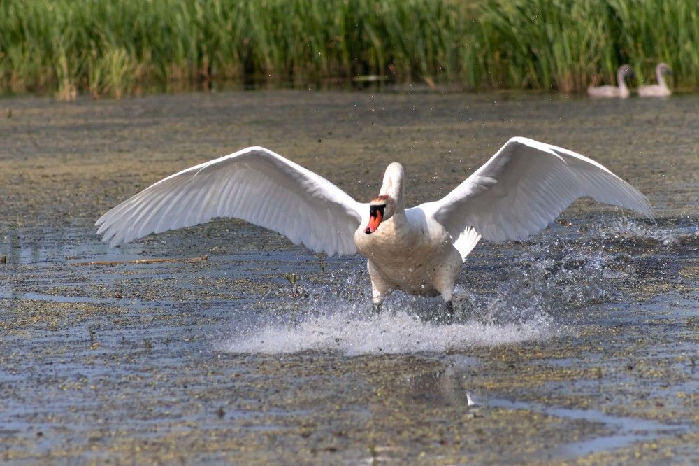 Photograph by Вера Почкалина