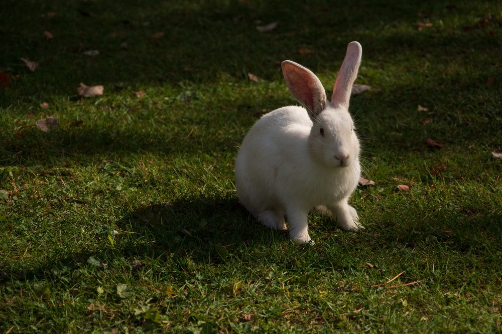 Photograph by Ксения Малютина