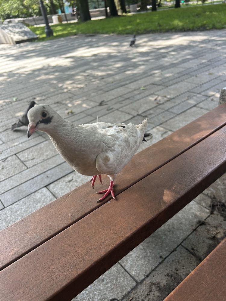 Photograph by Елена Власова