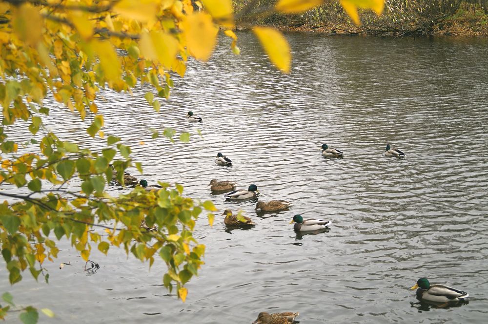 Photograph by Татьяна Бешенкина