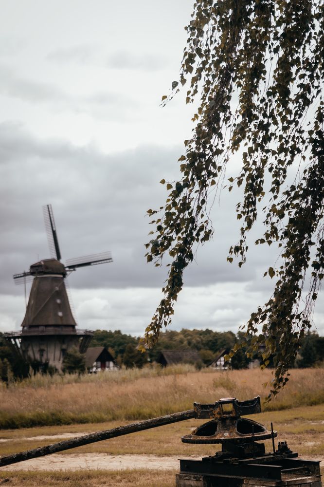 Photograph by Дарья Зенченко