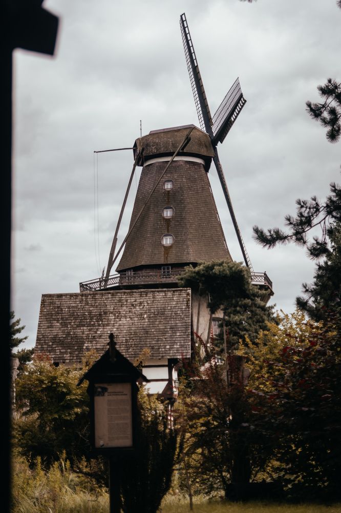 Photograph by Дарья Зенченко