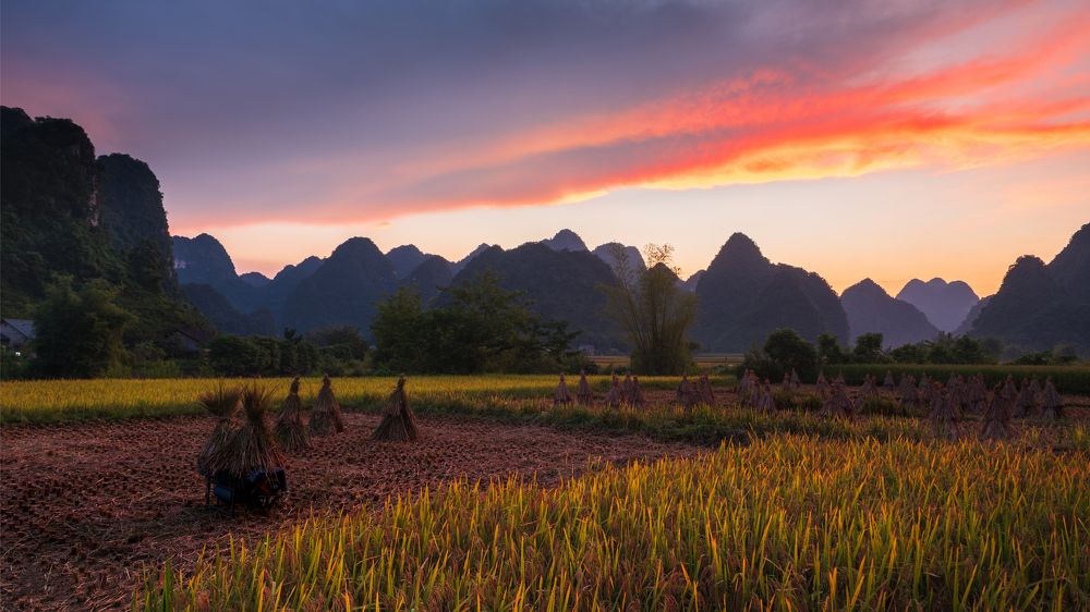 Фотография автора Dũng Mạnh Nguyễn