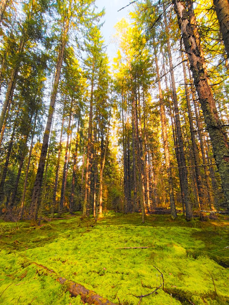 Photograph by Дмитрий Малышев