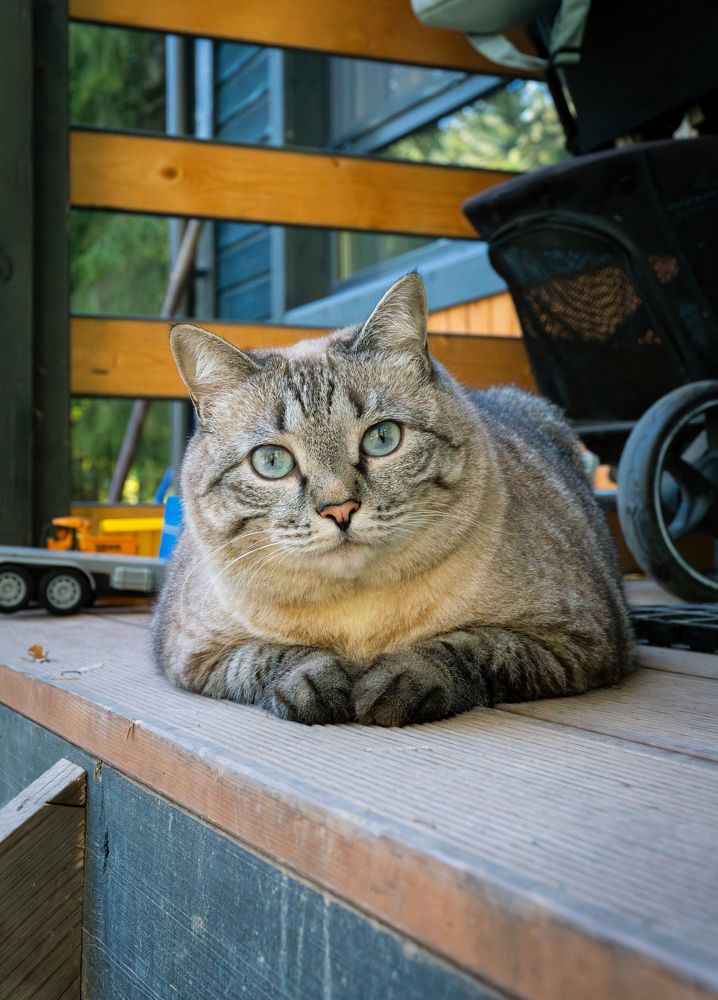 Photograph by Evgeny Ilyin