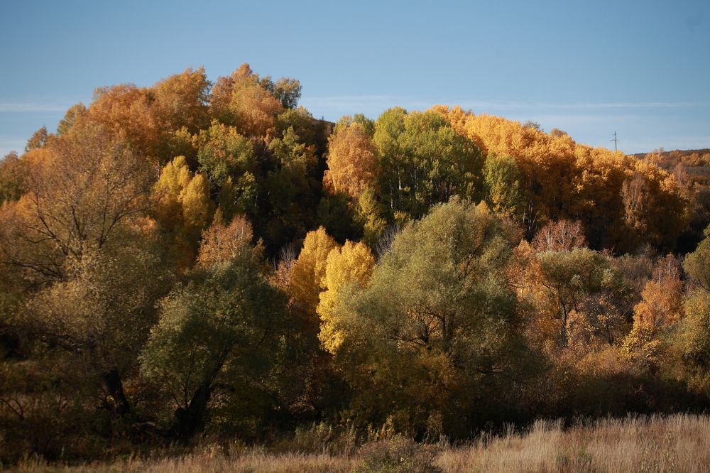 Photograph by Крематорин Артур