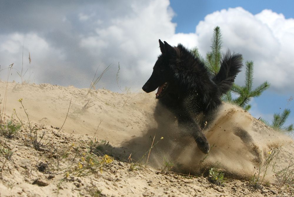 Фотография автора Надежда Лисицына