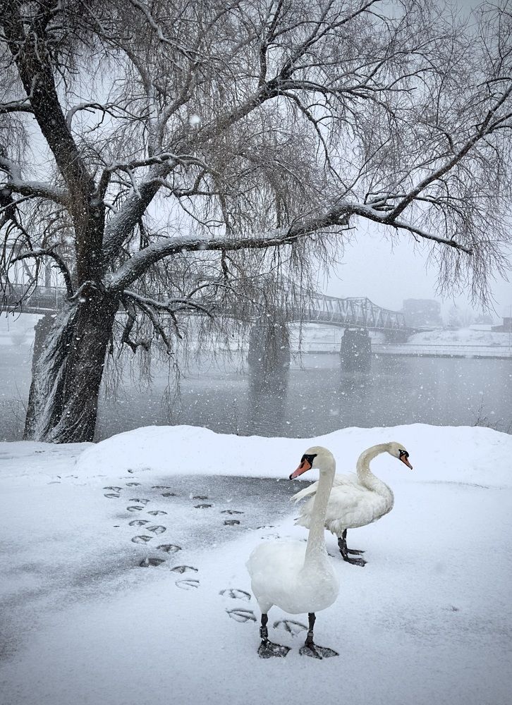 Photograph by Sus’n Jensen