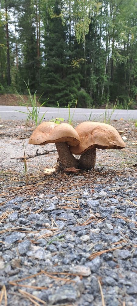 Love knows no boundaries.