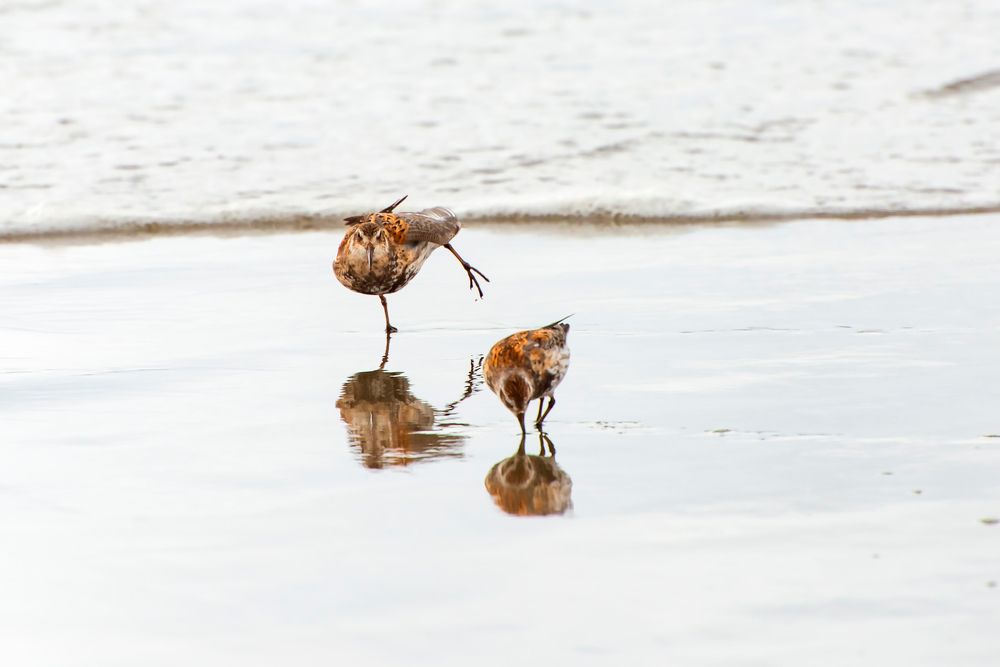 Photograph by Денис Илгач