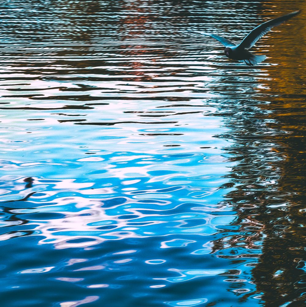 Photograph by Михаил Зубков