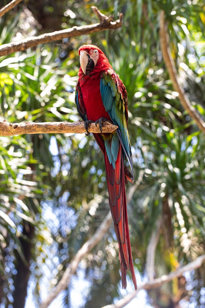 Фотография автора Мария Сурмачева