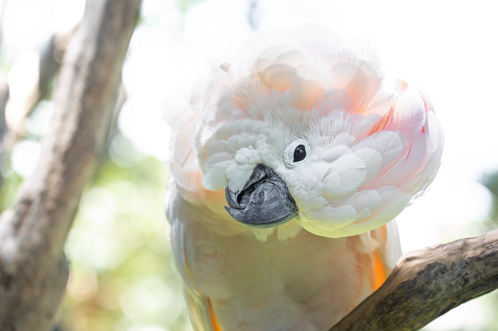 Фотография автора Мария Сурмачева