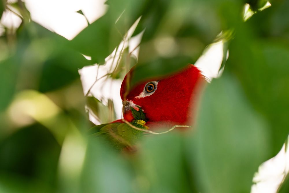 Фотография автора Мария Сурмачева