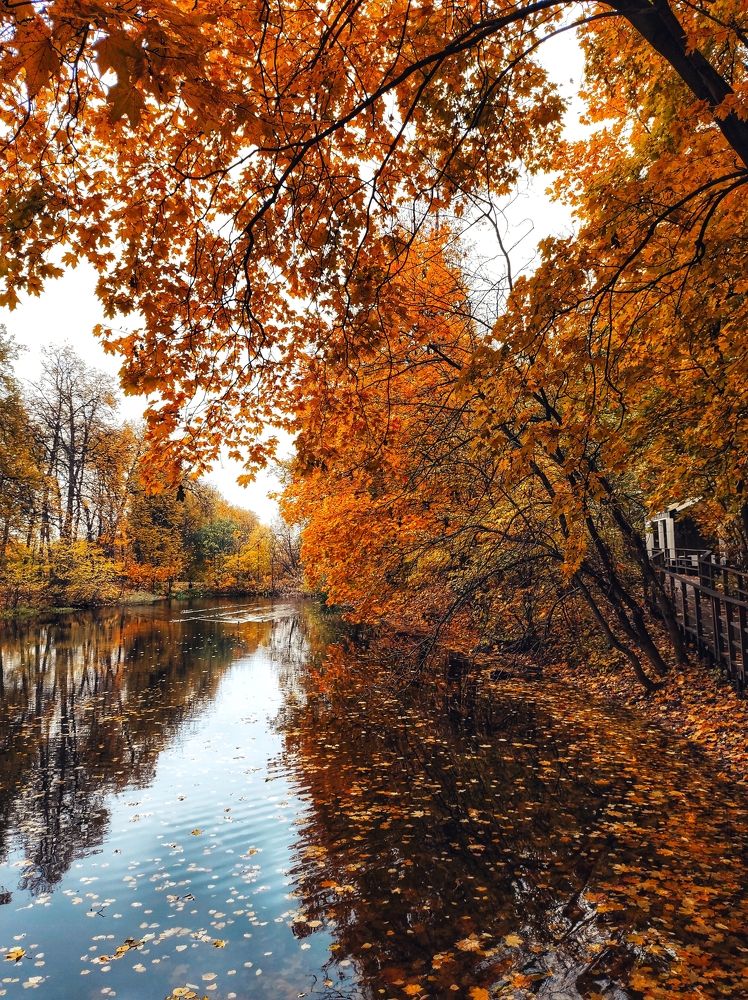 Photograph by Вячеслав Щёголев