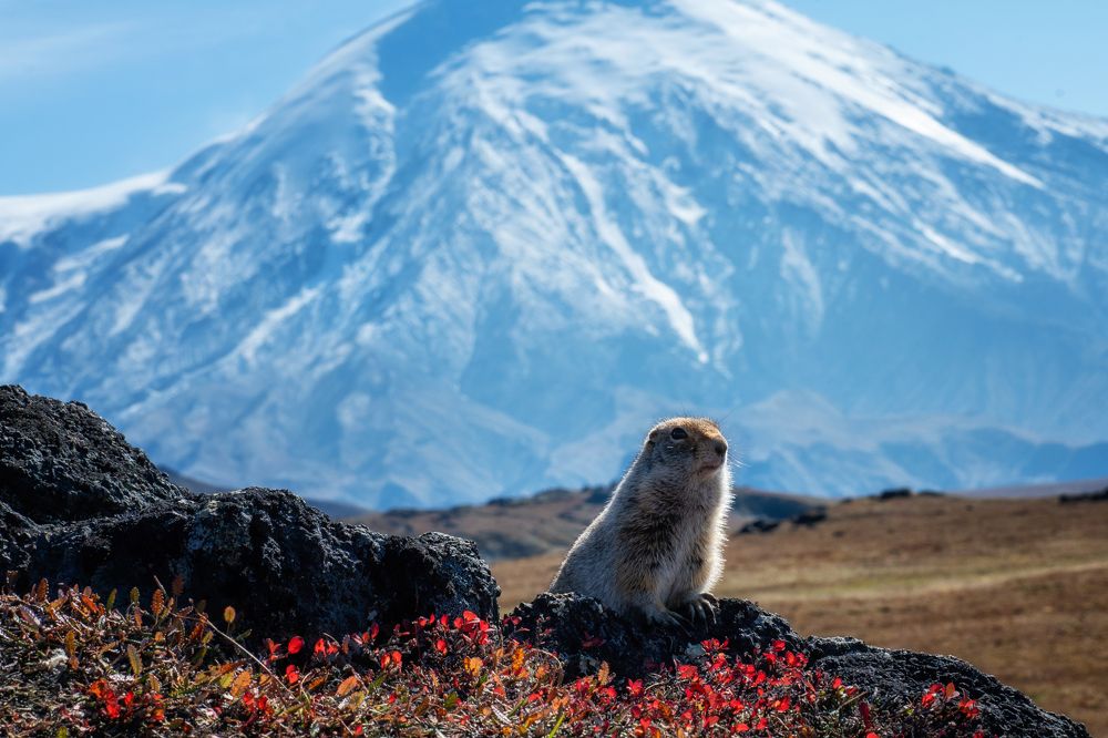 Photograph by Ирина Мошковская