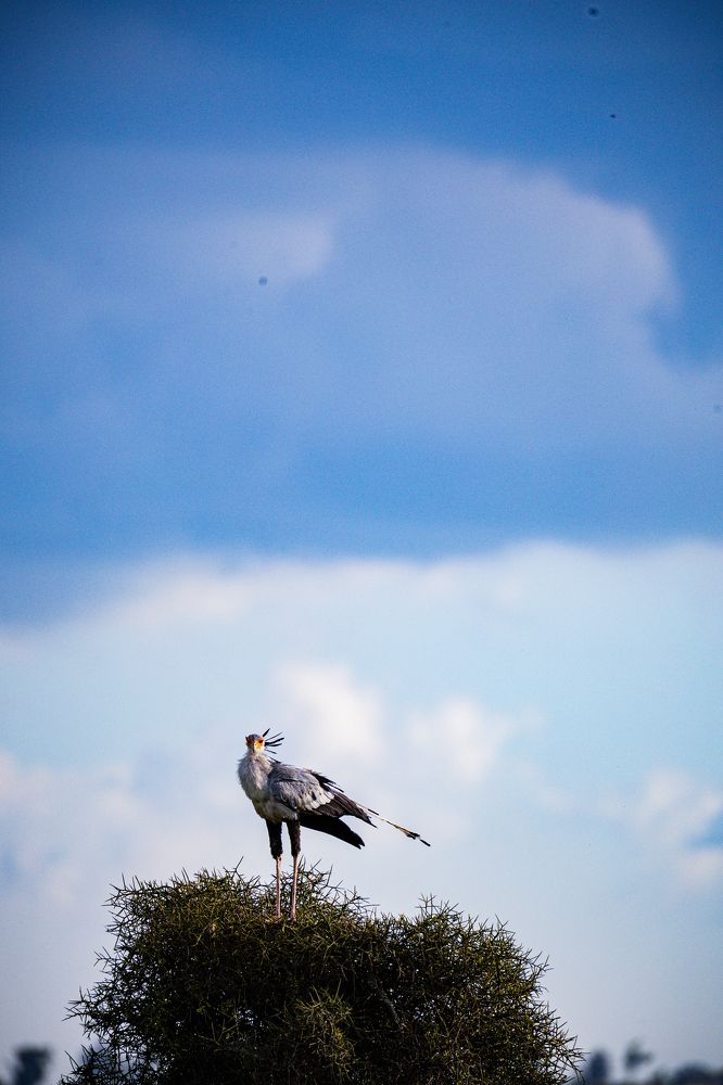 Photograph by Trivet Antony