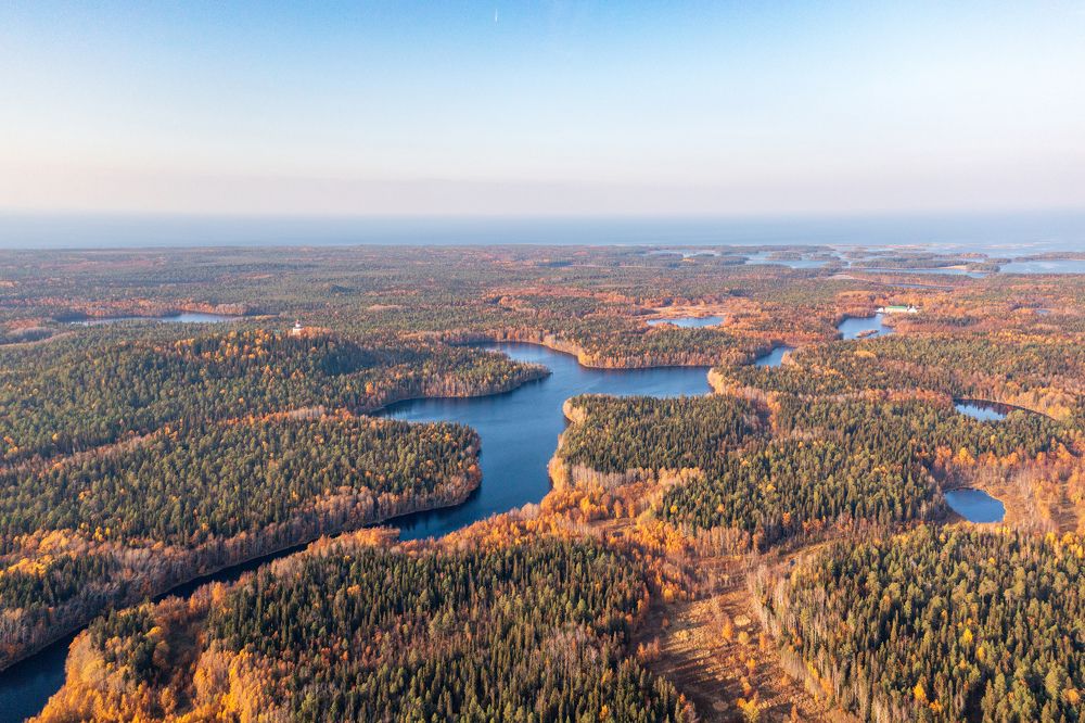 Photograph by Solovki Fond