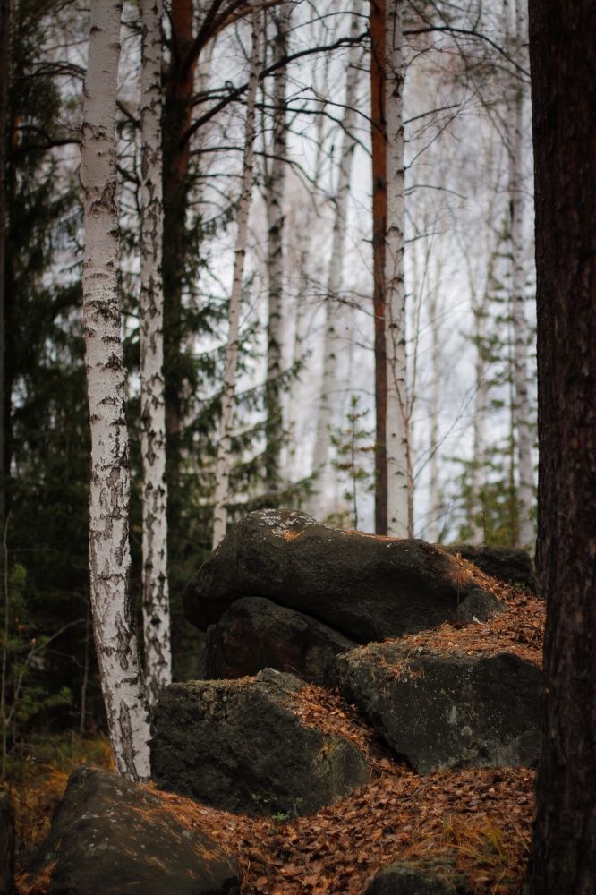 Photograph by Астафьева Анастасия