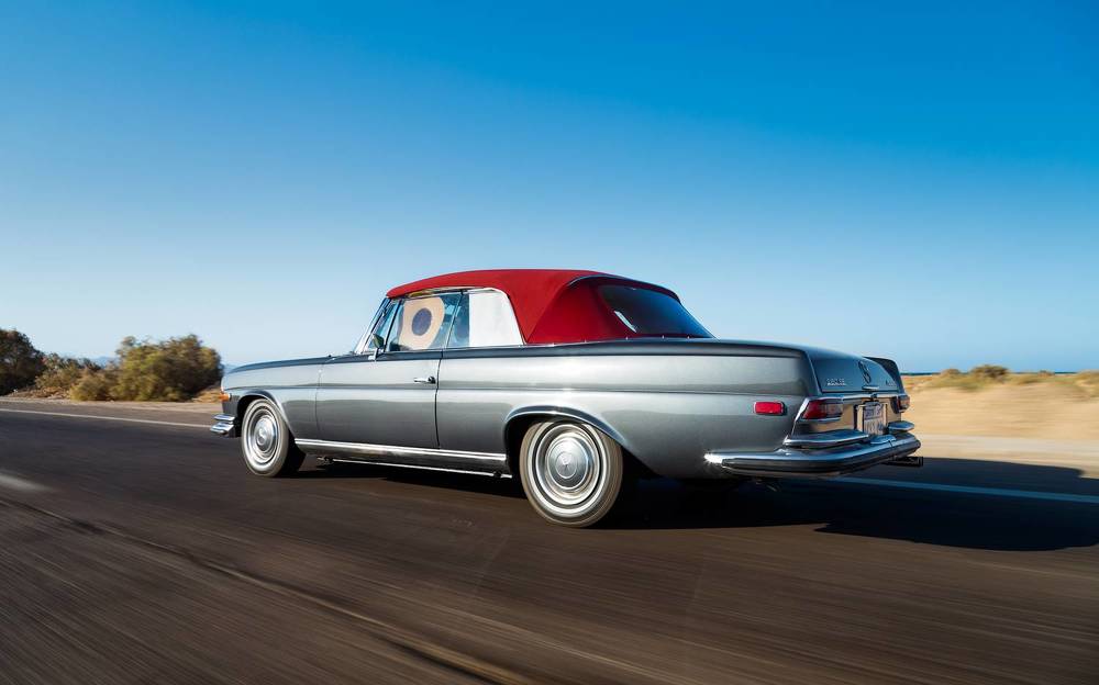 Photograph by Alaa Nour